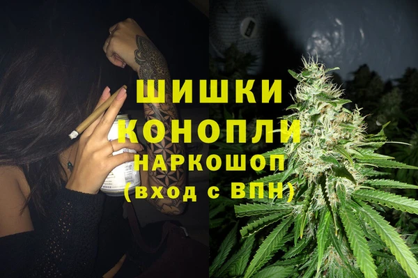 сатива Киренск