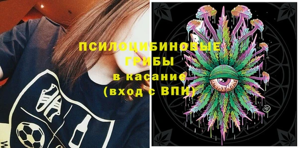 сатива Киренск