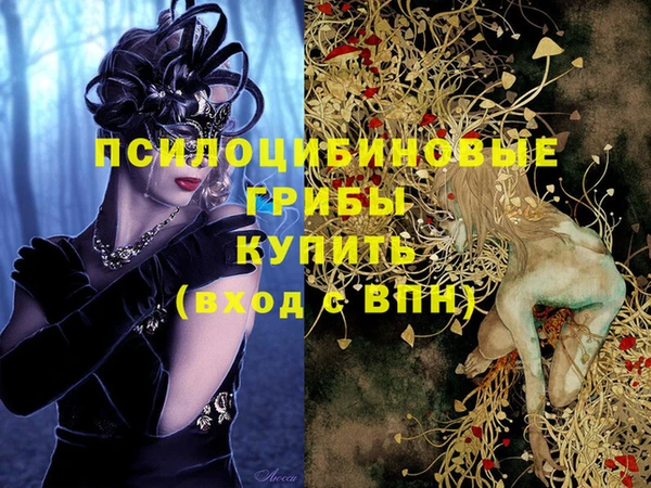 сатива Киренск
