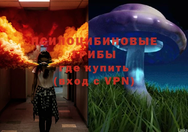 a pvp Киреевск